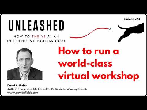 264. David A Fields how to run a world-class virtual workshop