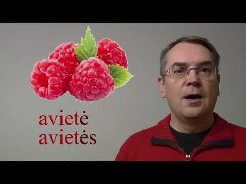 LITHUANIAN LESSON 95 - VAISIAI (1) - Fruits
