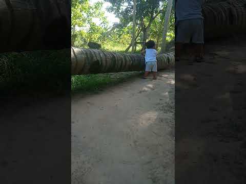 kursonada jud molakaw😊