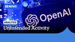 Why did it take OpenAI three months to report the Medicare hack? | ABC NEWS