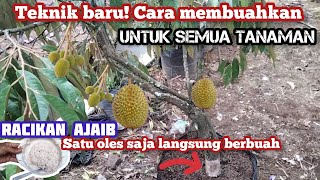 Download lagu TEKNIK BARU!! Cara membuahkan durian dan semua tanaman yang berbuah mp3 Download lagu TEKNIK BARU!! Cara membuahkan durian dan semua tanaman yang berbuah mp3