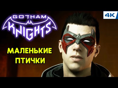 Gotham Knights // Маленькие Птички - Прохождение ▶ #10