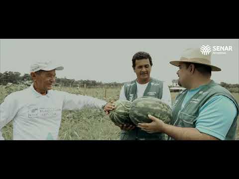 VÍDEO INSTITUCIONAL  - ATEG NO AMAZONAS