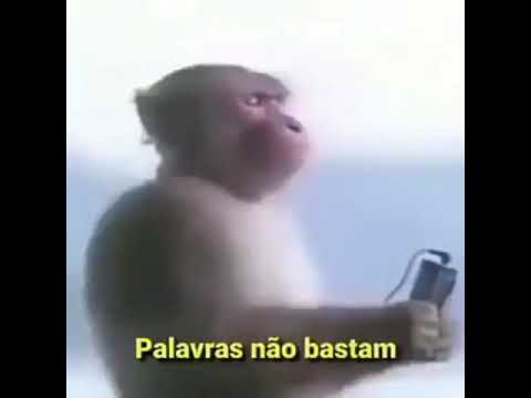 Palavras Não Bastam (part. Dj Bruno) - MC Timbu