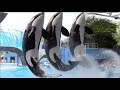 Orca Encounter Full Show SeaWorld Orlando April 8 2021