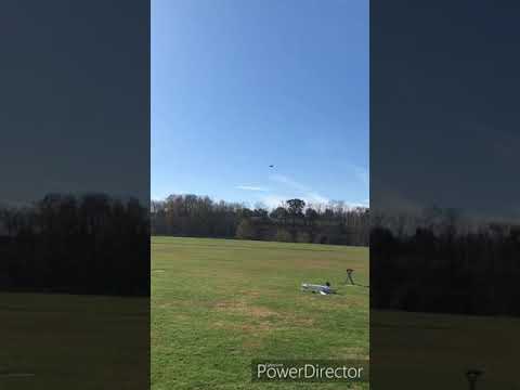 Ft simple cub maiden