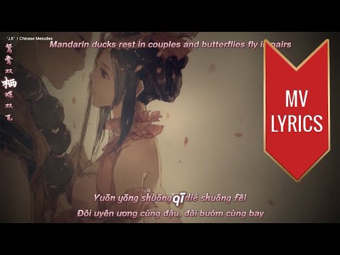 Nữ Nhi Tình (女儿情) | Đồng Lệ (童丽) | [MV Lyrics+Engsub+Pinyin+Vietsub]