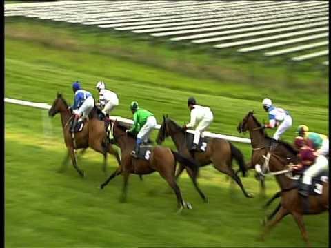 Galopprennbahn Dresden - 06.09.2015 - 2.Rennen