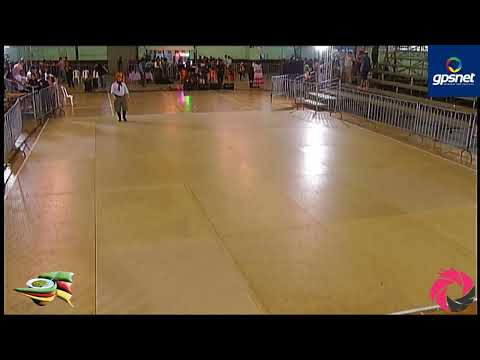 ENART 2019 FORÇA B - DOMINGO - TARDE