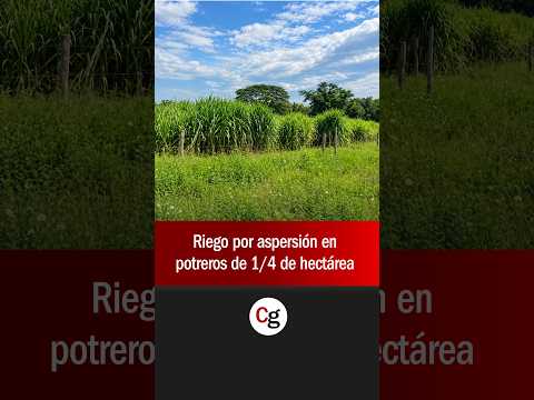 ¡Maximiza la producción de tu finca con una gestión eficiente del agua y el pastoreo! 🌿💧