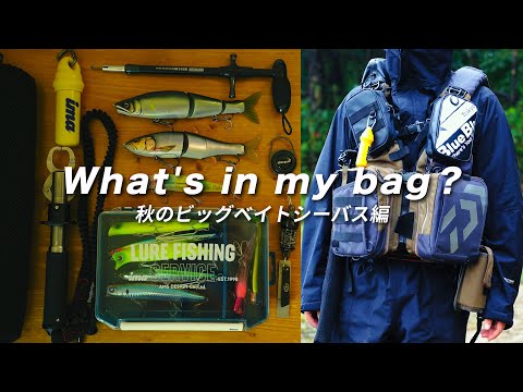 【What&rsquo;s in my bag】ビッグベイトアングラーのフローティングベストの中身全部見せます