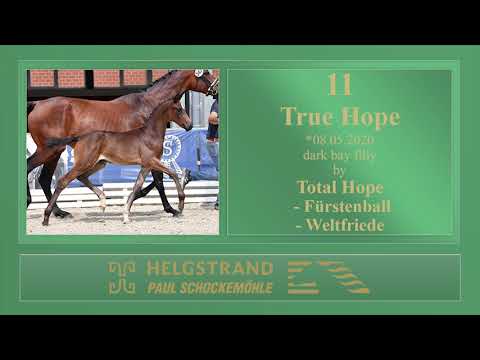 11 True Hope by Total Hope - Fürstenball - Weltfriede