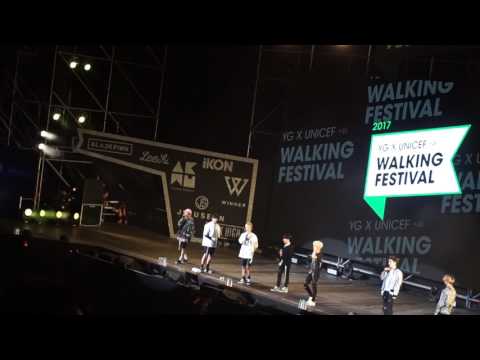 170514 iKON B.I - YG X UNICEF Walking Festival talk
