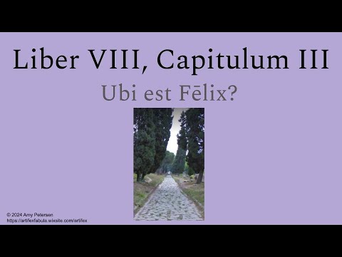 Artifex: Liber 8, Capitulum 3