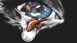 Cody Jinx Wish You Were Here