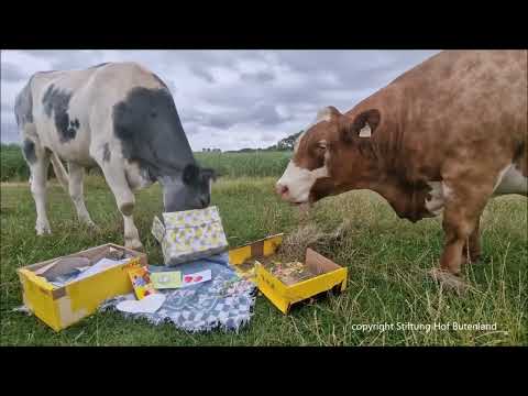 Alles Gute zum Geburtstag, Tom