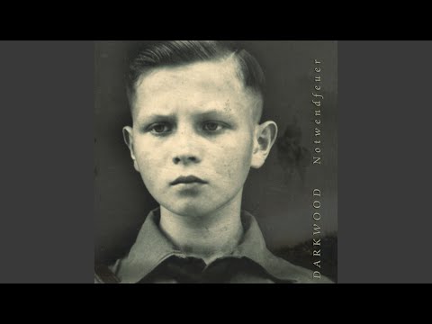 Nibelungenland - Darkwood