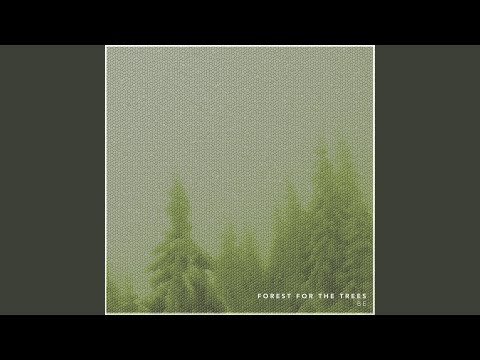 Forest for the Trees