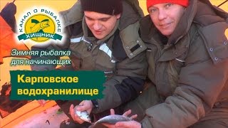 Рыбалка для начинающих волгоград