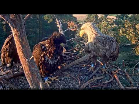 West Estonia WTE 6 6 4 16  939pm