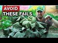 5 Cabbage Growing Mistakes to AVOID