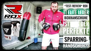 TEST/Review | RDX T1 Elite Leder Boxhandschuh | Ist das der Perfekte Sparrings-Handschuh??