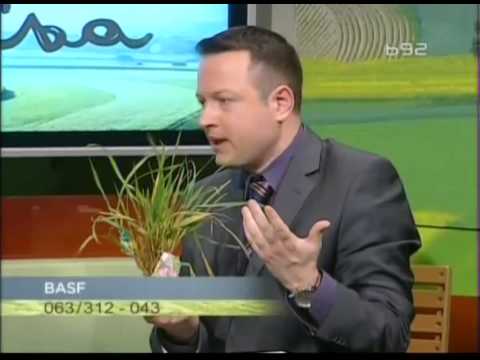 BASF zastitar - program zastite psenice