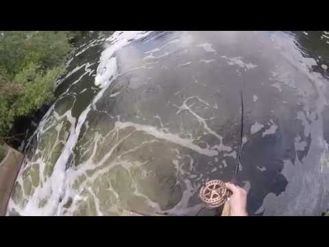 Trotting for chub on the stick float