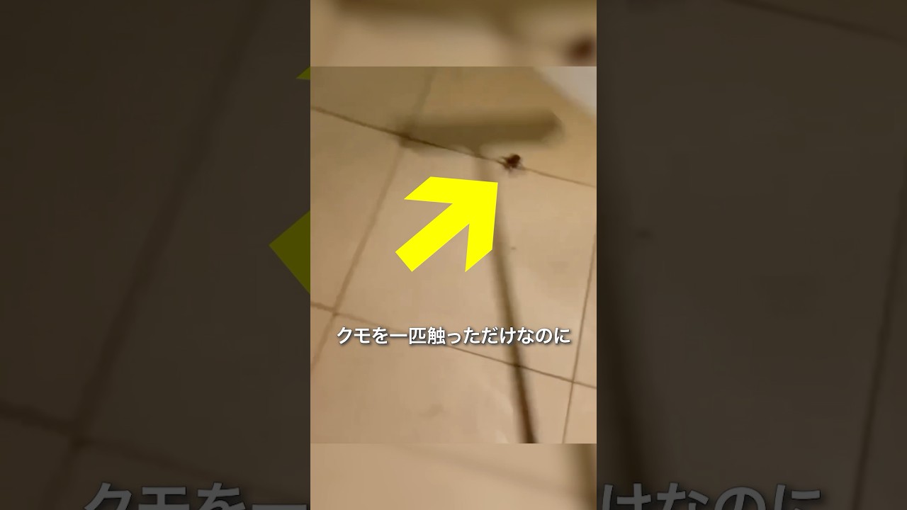 触れた瞬間、爆発するクモ