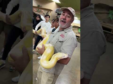 Phillipine Reptile Motley Crew!! 😱🐍🤣