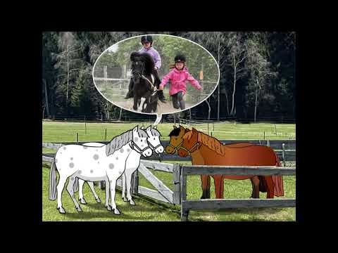 Folge 2 Das Kennenlernen