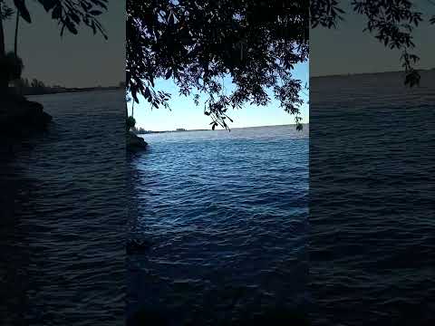 Río Uruguay en la costa de Mocoretá, Corrientes.