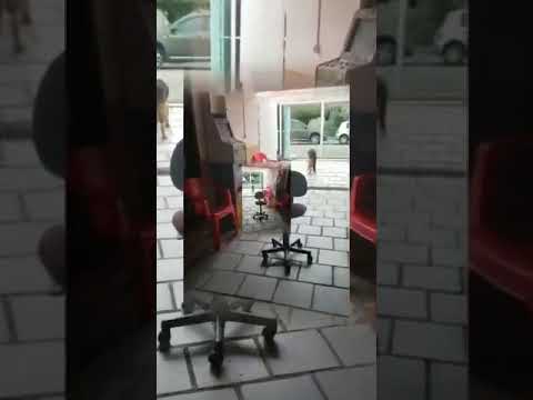 Quem tem amigas tem tudo