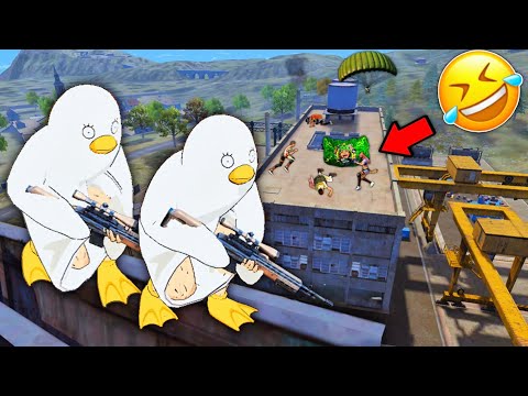 RETO CAMPERO CON LA NUEVA SKIN DE POLLO 😂 FREE FIRE