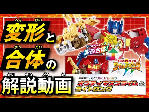 【ワイルドキング変形解説動画】WKS-01 オプティマスプライム&ライトロング ワイルドッキングセット