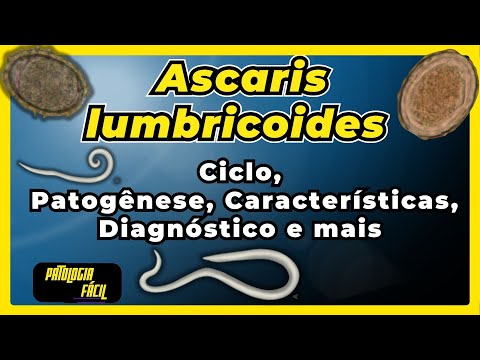 ASCARIDIASIS: Ascaris lumbricoides - Life cycle, Pathophysiology, Diagnosis | PARASITOLOGY |