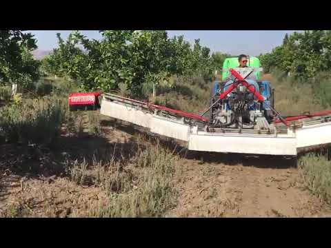 Video 5