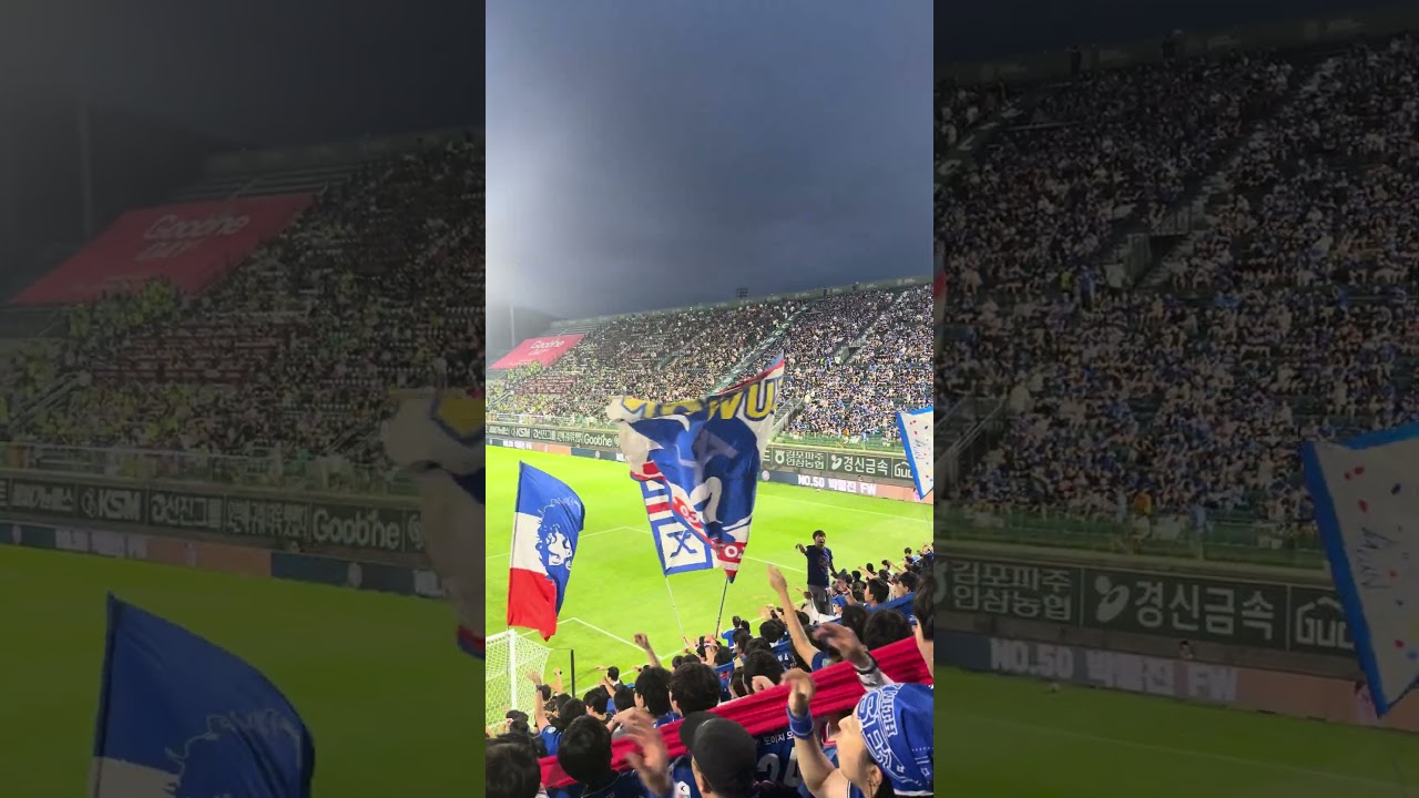 2026 24R 김포 vs 수원 - 나의 사랑 나의 수원 #축구 #국내축구 #k리그 #수원삼성 #수원삼성블루윙즈