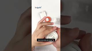 Sonoff SNZB-02P | Zigbee Temperature & Humidity Sensor