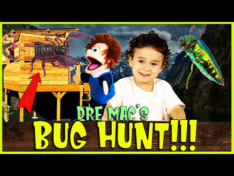 Learning bugs for kids with Silly Puppets. Learning kid videos
