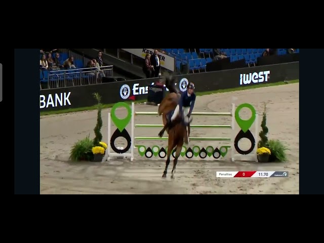 Half-brother of Caloubet van de Vennen Z is the Grand Prix 1.60m jumping horse L&L Upgrade with rider Martin Fuchs.