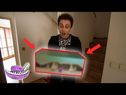 TENHLE DÁREK NIKDY NEČEKAL! (emotivní)