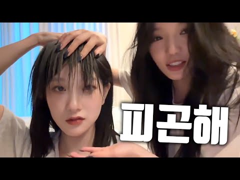 피곤하면 나오는 이상한 텐션