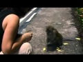 AFV Part 92 NEW America S Funniest Home Videos 2011 Funny Videos Montage Compilation