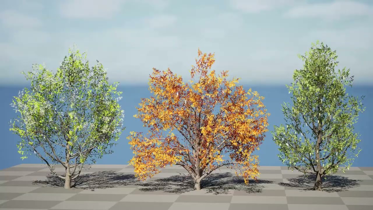 North American Cottonwood Collection 3D Model