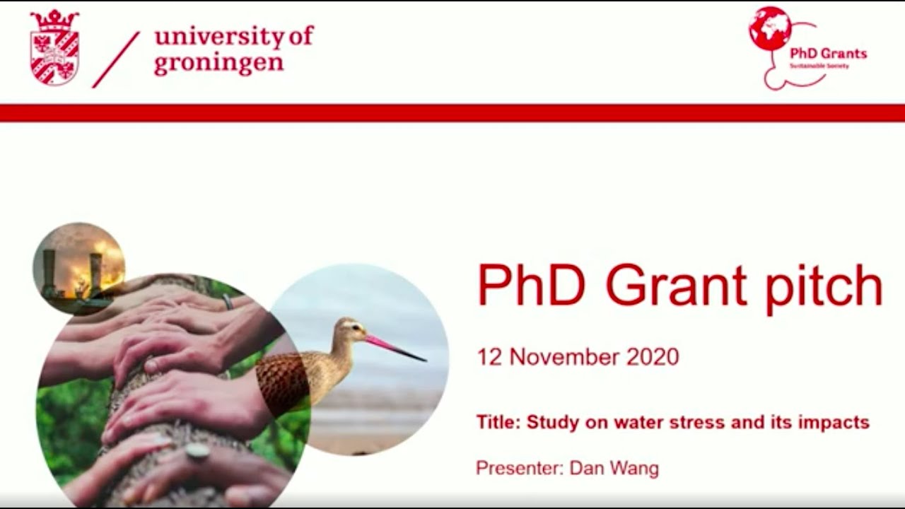 PhD Grant pitch | Dan Wang