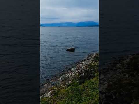 Lago Ranco , Región de los Ríos 🇨🇱