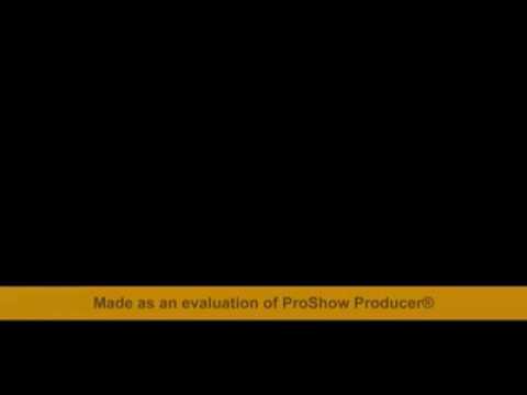 Радо Шишарката - Динко Вълев
