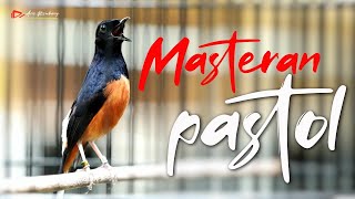 Download lagu MASTERAN MURAI BATU PASTOL DAN TROTOL CEPAT MASUK mp3