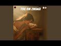 Tere Bin Zindagi